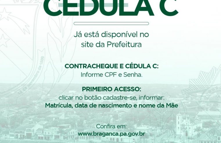 Cedula C 2020