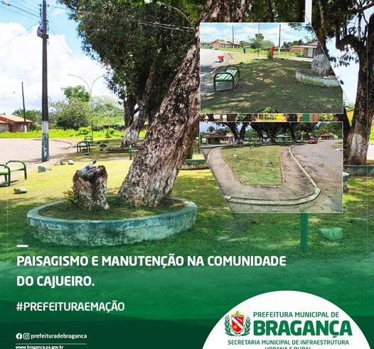 Paisagismo e Manutenção na comunidade do Cajueiro.