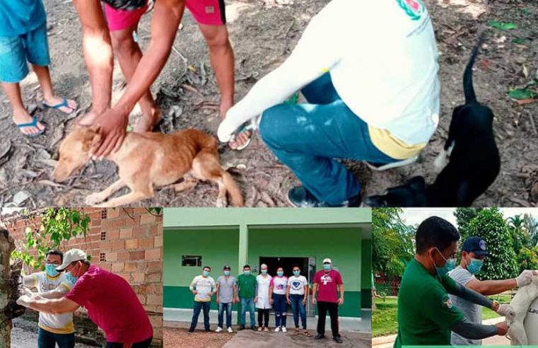 Controle do vírus rábico no município.