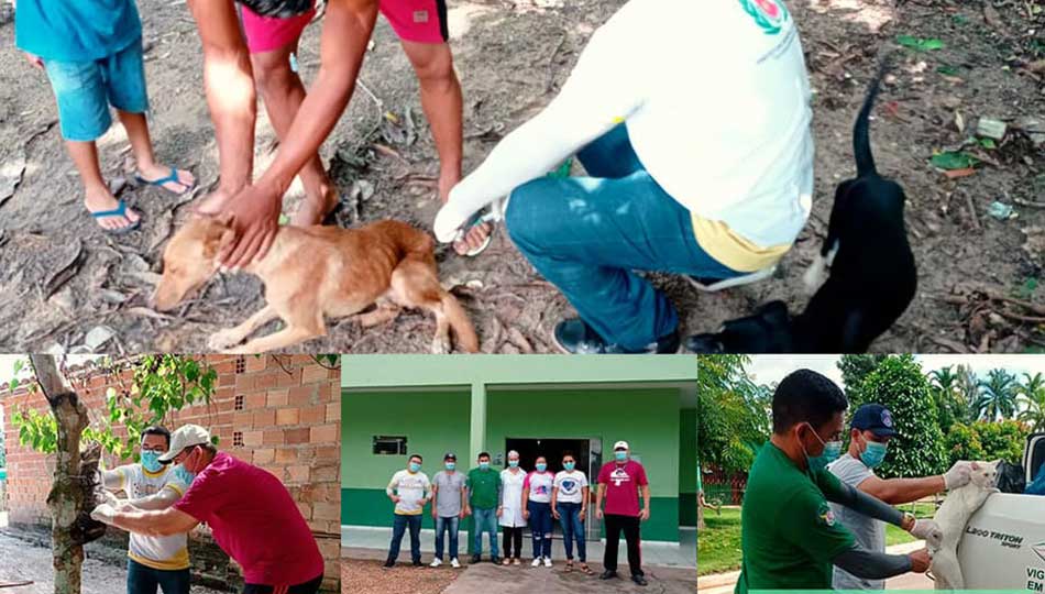 Controle do vírus rábico no município.