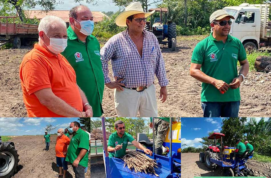 Primeiro jardim clonal do município.