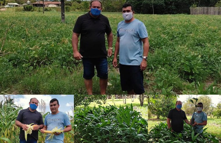 Prefeitura visita a Fazenda Esperança para conferir a produção de milho e feijão.