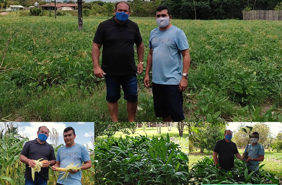 Prefeitura visita a Fazenda Esperança para conferir a produção de milho e feijão.