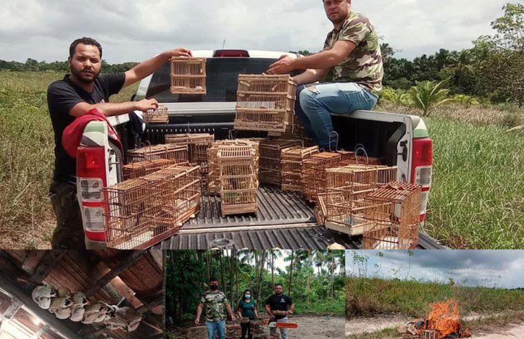 Repressão à caça e venda ilegal de pássaros silvestres.