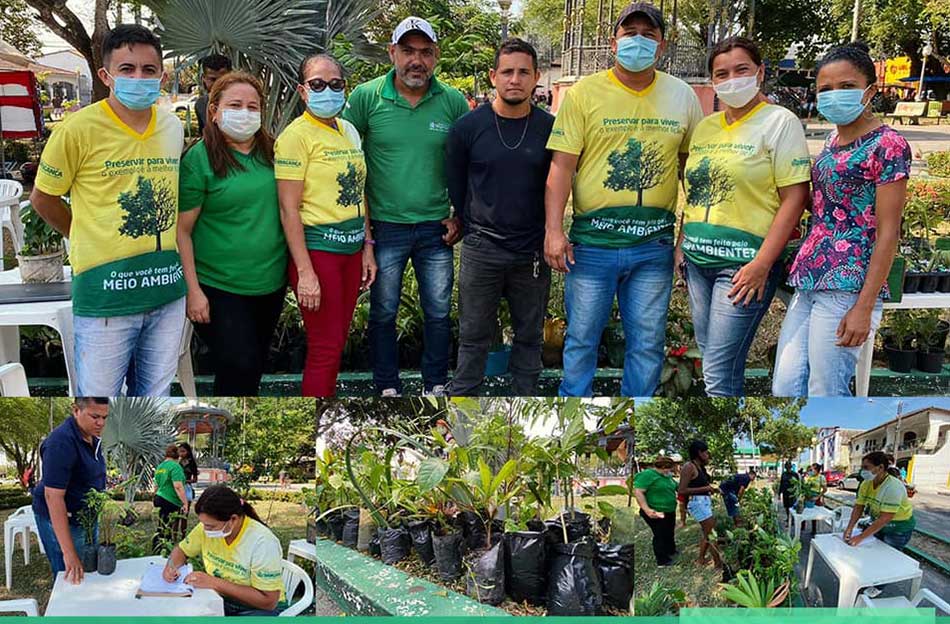 Dia Municipal da Árvore.