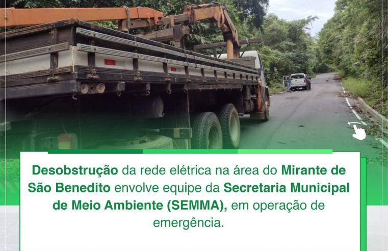 DESOBSTRUÇÃO DA REDE ELÉTRICA NA ÁREA DO MIRANTE DE SÃO BENEDITO