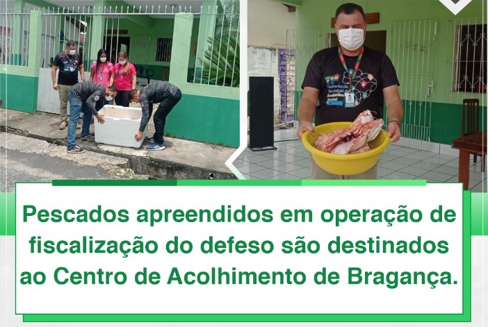 PESCADOS APREENDIDOS.