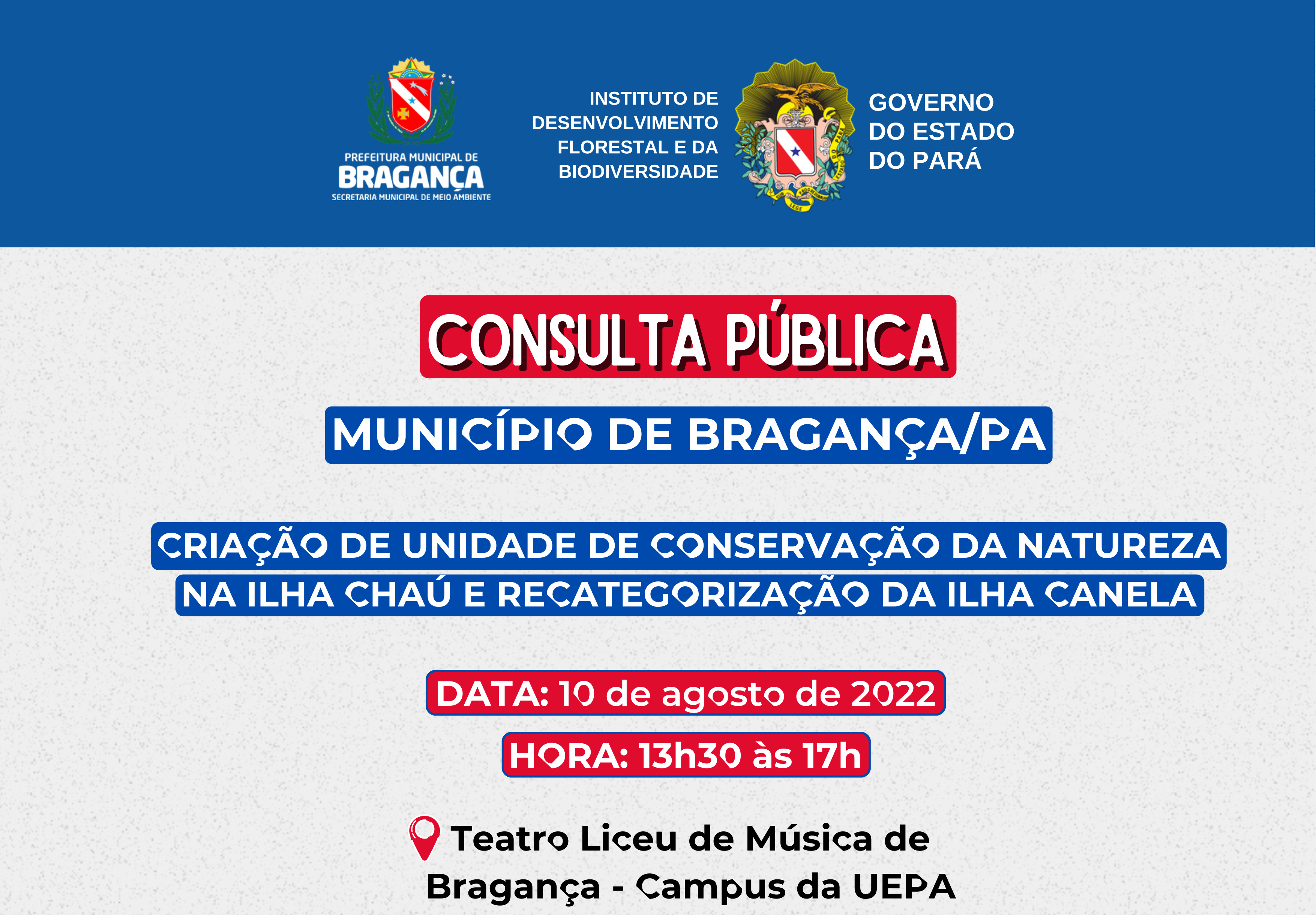 CONSULTA PÚBLICA