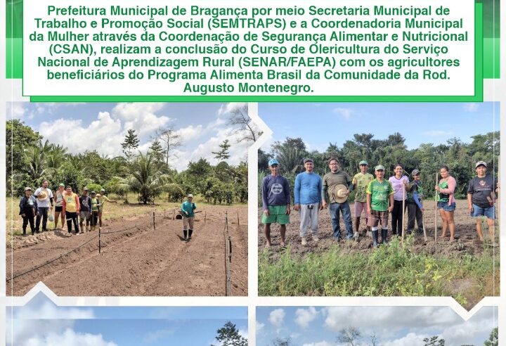 CONCLUSÃO DO CURSO DE OLERICULTURA DO SENAR/FAEPA.