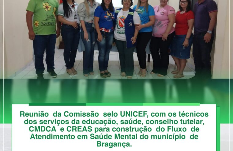 REUNIÃO DA COMISSÃO SELO UNICEF.