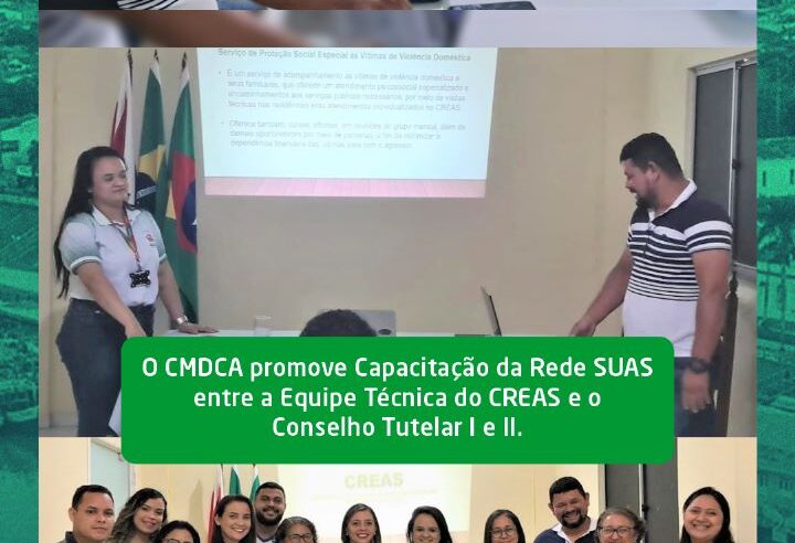 O CMDCA promove Capacitação da Rede SUAS