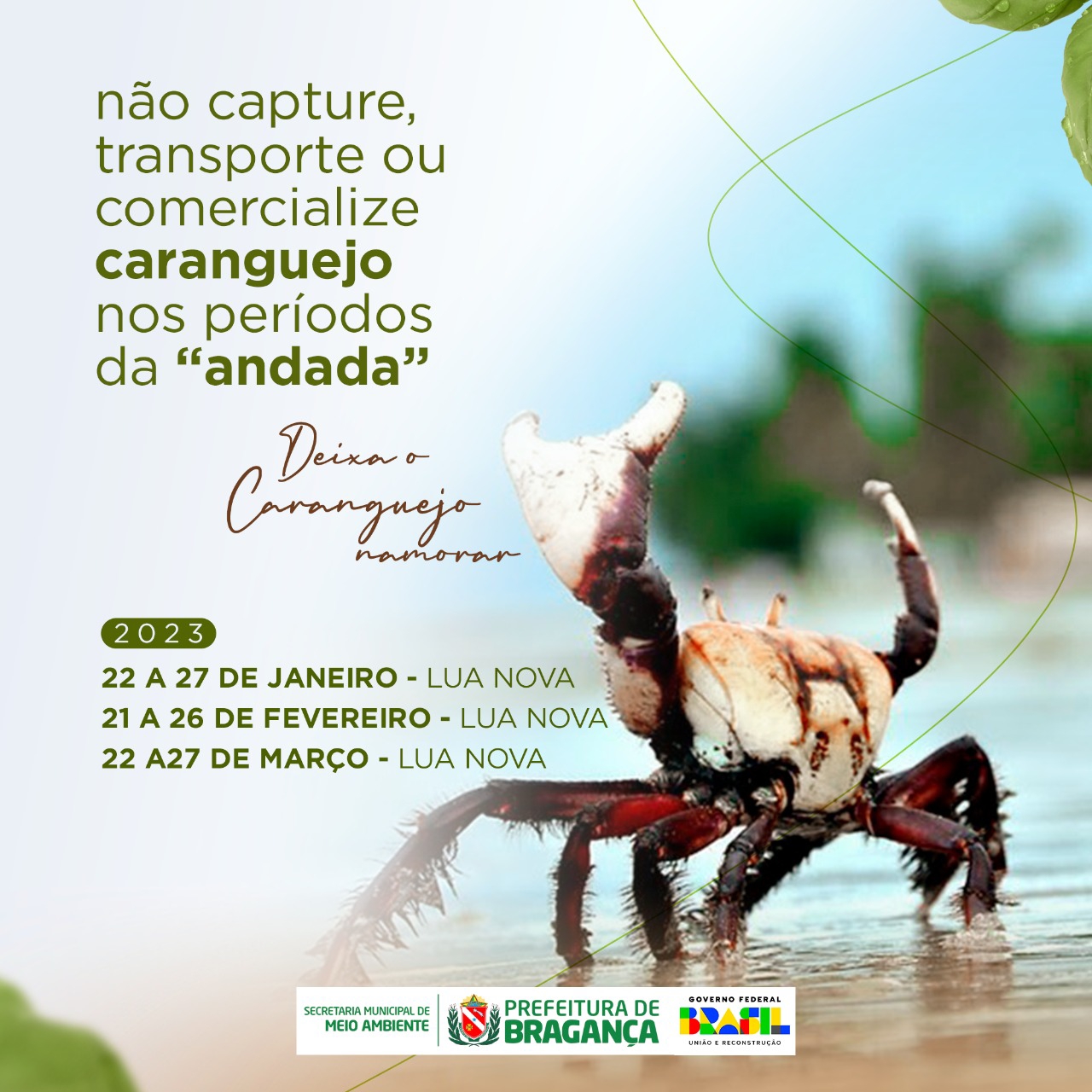 Defeso do Caranguejo-uçá.