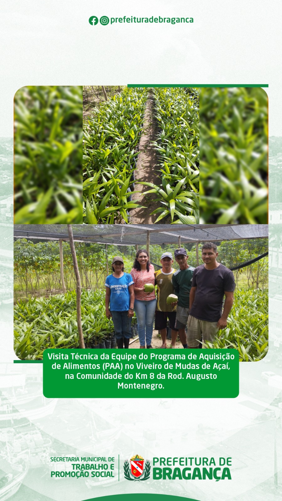 VISITA TÉCNICA NO VIVEIRO DE MUDAS DE AÇAÍ, NA COMUNIDADE DO KM 8.