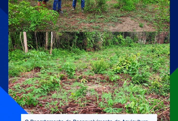 DEPARTAMENTO DE AQUICULTURA INICIA ESCAVAÇÃO DE VIVEIROS EM MOCAJUBA.